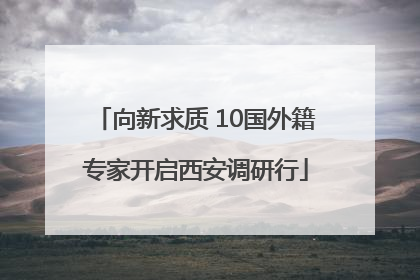 向新求质 10国外籍专家开启西安调研行
