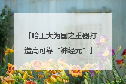 哈工大为国之重器打造高可靠“神经元”