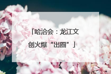 哈洽会：龙江文创火爆“出圈”