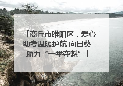商丘市睢阳区：爱心助考温暖护航 向日葵助力“一举夺魁”