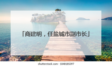 商建明，任盐城市副市长