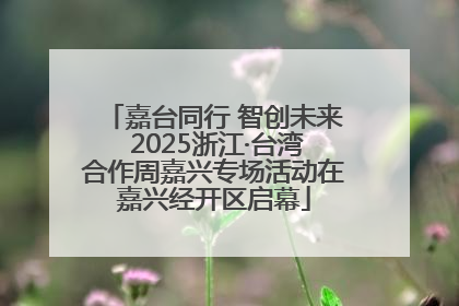 嘉台同行 智创未来 2025浙江·台湾合作周嘉兴专场活动在嘉兴经开区启幕