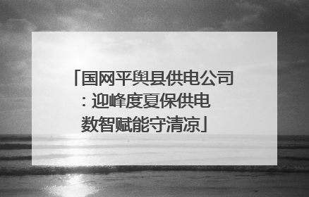 国网平舆县供电公司：迎峰度夏保供电  数智赋能守清凉