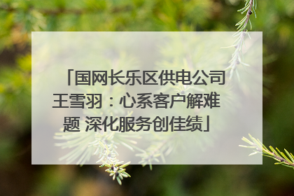 国网长乐区供电公司王雪羽：心系客户解难题 深化服务创佳绩