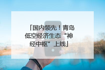 国内领先！青岛低空经济生态“神经中枢”上线
