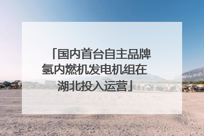 国内首台自主品牌氢内燃机发电机组在湖北投入运营