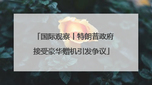 国际观察丨特朗普政府接受豪华赠机引发争议