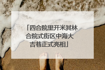 四合院里开米其林 合院式街区中海大吉巷正式亮相