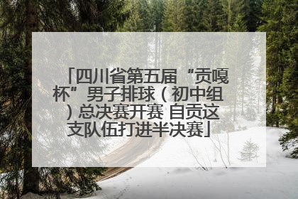 四川省第五届“贡嘎杯”男子排球（初中组）总决赛开赛 自贡这支队伍打进半决赛
