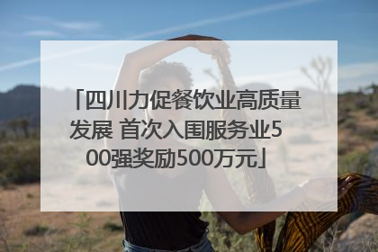 四川力促餐饮业高质量发展 首次入围服务业500强奖励500万元
