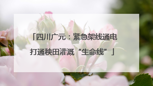 四川广元：紧急架线通电 打通秧田灌溉“生命线”