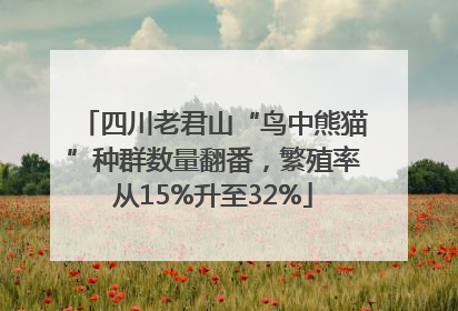 四川老君山“鸟中熊猫”种群数量翻番，繁殖率从15%升至32%