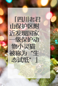 四川老君山保护区附近发现国家一级保护动物小灵猫 被称为“生态试纸”