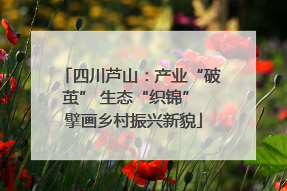 四川芦山：产业“破茧” 生态“织锦” 擘画乡村振兴新貌