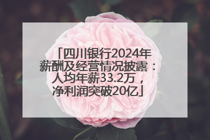 四川银行2024年薪酬及经营情况披露：人均年薪33.2万，净利润突破20亿