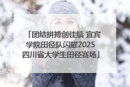 团结拼搏创佳绩 宜宾学院田径队闪耀2025四川省大学生田径赛场