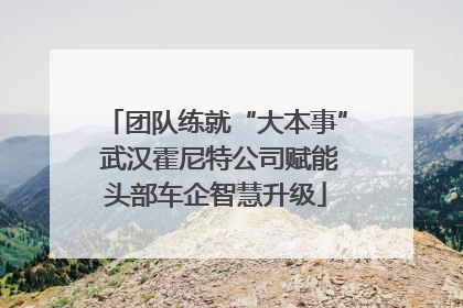 团队练就“大本事” 武汉霍尼特公司赋能头部车企智慧升级