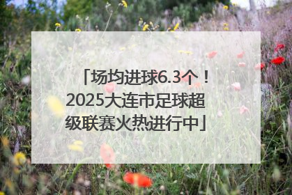 场均进球6.3个！2025大连市足球超级联赛火热进行中