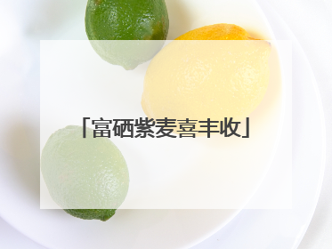 富硒紫麦喜丰收
