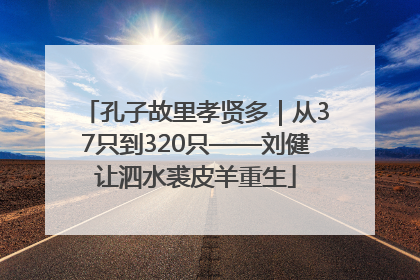孔子故里孝贤多｜从37只到320只——刘健让泗水裘皮羊重生