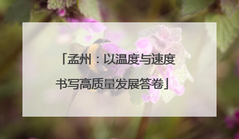 孟州：以温度与速度书写高质量发展答卷
