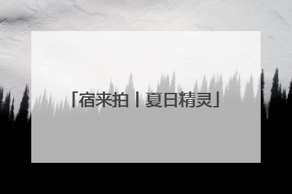 宿来拍丨夏日精灵