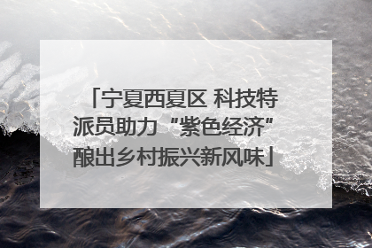 宁夏西夏区 科技特派员助力“紫色经济”酿出乡村振兴新风味