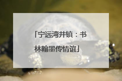 宁远湾井镇：书林翰墨传情谊