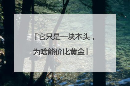 它只是一块木头，为啥能价比黄金