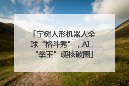 宇树人形机器人全球“格斗秀”，AI“拳王”硬核破圈