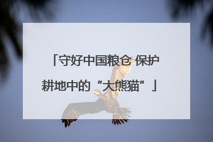 守好中国粮仓 保护耕地中的“大熊猫”