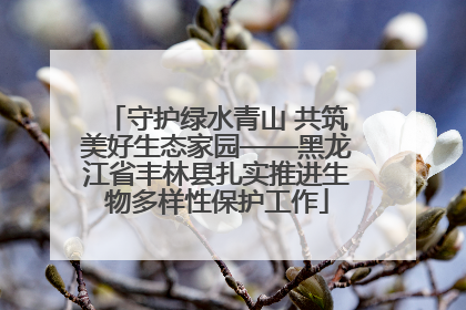守护绿水青山 共筑美好生态家园——黑龙江省丰林县扎实推进生物多样性保护工作