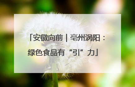 安徽向前｜亳州涡阳：绿色食品有“引”力