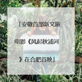 安徽首部新文旅电影《风起秋浦河》在合肥首映