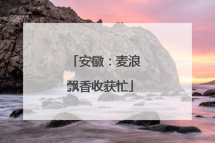 安徽：麦浪飘香收获忙