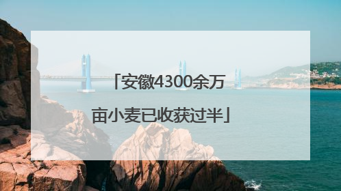 安徽4300余万亩小麦已收获过半