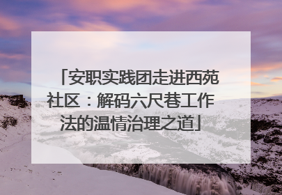 安职实践团走进西苑社区：解码六尺巷工作法的温情治理之道