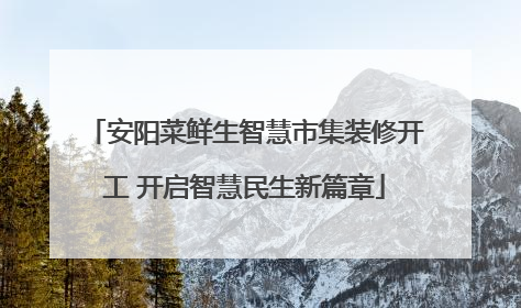 安阳菜鲜生智慧市集装修开工 开启智慧民生新篇章