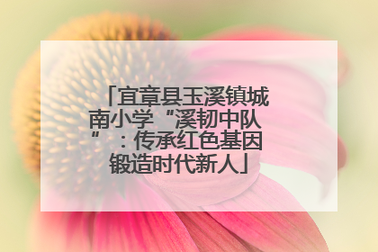 宜章县玉溪镇城南小学“溪韧中队”：传承红色基因 锻造时代新人
