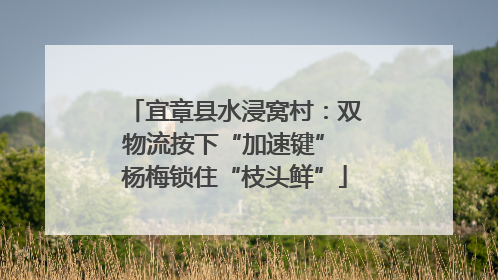 宜章县水浸窝村：双物流按下“加速键” 杨梅锁住“枝头鲜”