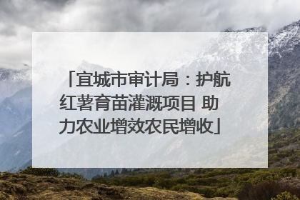 宜城市审计局：护航红薯育苗灌溉项目 助力农业增效农民增收
