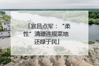 宜昌点军：“柔性”清理违规菜地 还绿于民