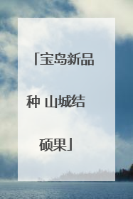 宝岛新品种 山城结硕果