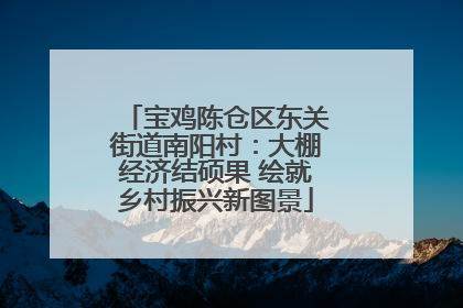 宝鸡陈仓区东关街道南阳村：大棚经济结硕果 绘就乡村振兴新图景