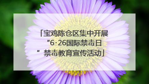 宝鸡陈仓区集中开展“6･26国际禁毒日”禁毒教育宣传活动