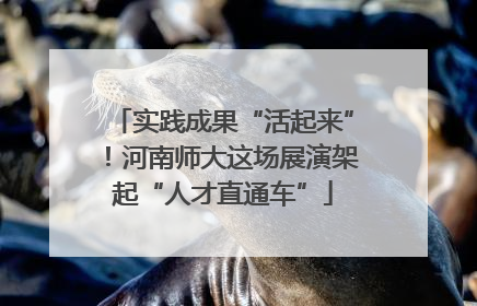 实践成果“活起来”！河南师大这场展演架起“人才直通车”