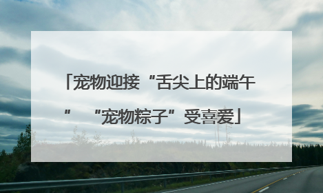 宠物迎接“舌尖上的端午” “宠物粽子”受喜爱