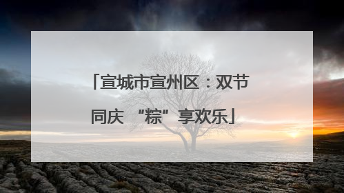 宣城市宣州区：双节同庆 “粽”享欢乐