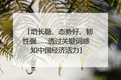 增长稳、态势好、韧性强……透过关键词感知中国经济活力
