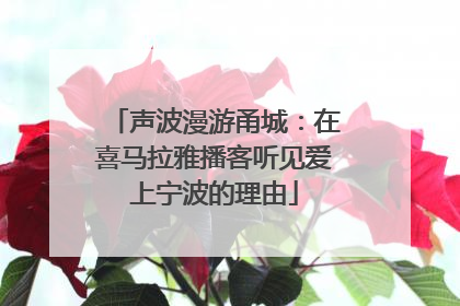 声波漫游甬城：在喜马拉雅播客听见爱上宁波的理由